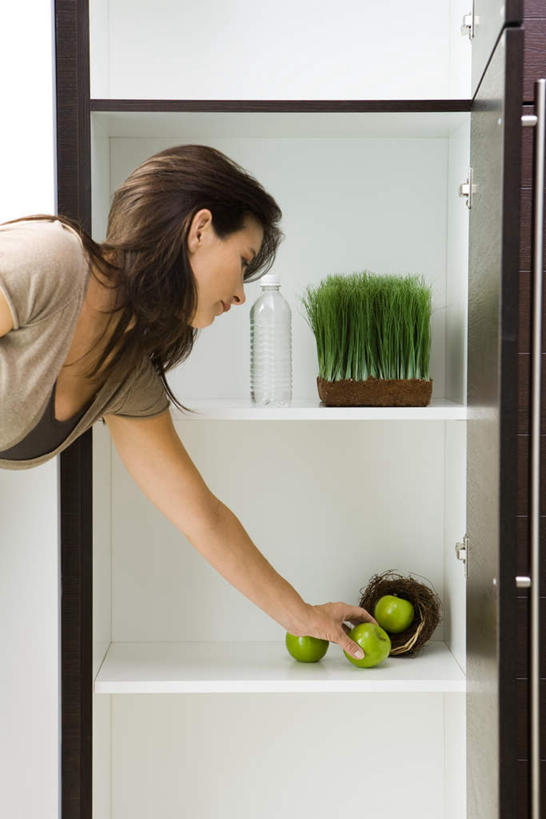 西方人,一个人,站,竖图,室内,白天,侧面,植物,柜子,苹果,水果,欧洲,欧洲人,仅一个女性,仅一个人,弯腰,新鲜,盆栽,生食,食品,果实,盆景,拿,拿着,食物,三个,绿色,自然,瓶子,塑料制品,橱柜,站着,仅一个中年女性,塑料瓶,有机食品,绿色食品,生长,成长,女人,女性,中年女性,白种人,站立,半身,彩图