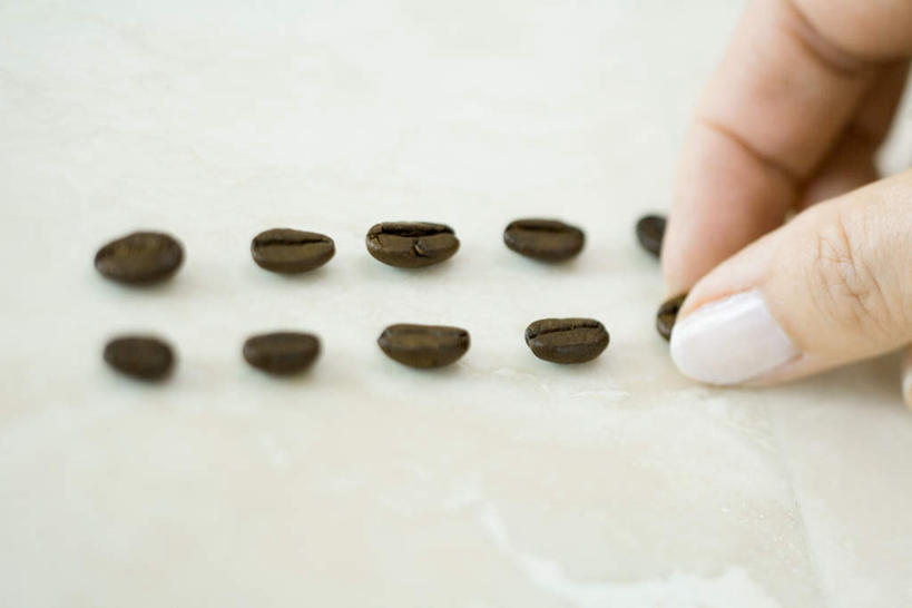 西方人,手,一个人,站,横图,俯视,室内,特写,白天,白色背景,桌面,桌子,欧洲,欧洲人,仅一个年轻女性,仅一个女性,仅一个人,一排,许多,阴影,整齐,反射,影子,食品,褐色,拿,拿着,食物,排列,咖啡豆,站着,手部,摄影,影棚,队列,年轻女性,女人,女性,白种人,站立,半身,彩图,高角度拍摄,影棚拍摄,拍摄