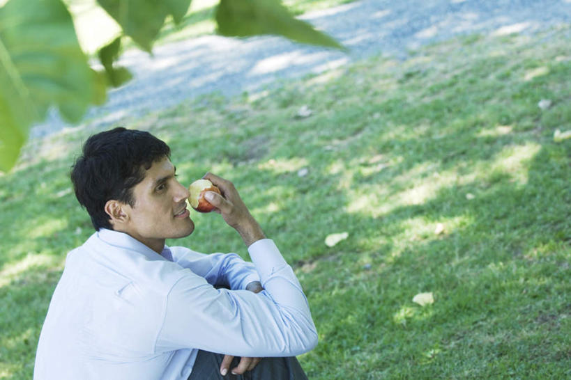 西方人,一个人,商务人士,商务男性,坐,横图,室外,白天,衬衫,草地,草坪,植物,苹果,水果,欧洲,欧洲人,仅一个男性,仅一个人,阴影,套装,新鲜,光线,影子,生食,食品,果实,拿,拿着,草,食物,仅一个年轻男性,一个,背面,红色,绿色,阳光,有机食品,绿色食品,单个,商务装,工薪阶层,男人,男性,年轻男性,白种人,白领,上班族,坐着,半身,彩图,衬衣