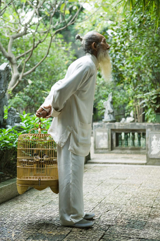 东方人,胡须,一个人,栏杆,站,竖图,室外,白天,侧面,植物,道路,路,鸟,亚洲,仅一个男性,仅一个人,服装,围栏,小路,鸟笼,交通,拿,拿着,休闲装,黄种人,护栏,树,树木,衣服,绿色,自然,动物,站着,仅一个老年男性,两只,休闲,休闲服,服饰,生长,成长,老年男性,男人,男性,亚洲人,胡子,络腮胡,站立,彩图,全身