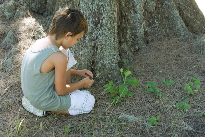 西方人,儿童,一个人,蹲,横图,俯视,室外,白天,纯洁,植物,叶子,欧洲,欧洲人,仅一个男性,仅一个人,阴影,服装,光线,影子,绿叶,拿,拿着,休闲装,树,树木,小孩,衣服,绿色,阳光,自然,仅一个小孩,休闲,休闲服,嫩叶,可爱,童年,童趣,服饰,生长,成长,童真,烂漫,无邪,天真,男孩,男人,男性,白种人,孩子,叶,叶片,蹲着,彩图,高角度拍摄,全身,男生