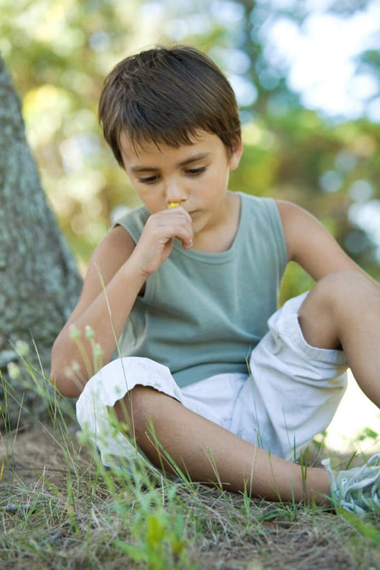 西方人,儿童,一个人,坐,竖图,室外,白天,正面,仰视,纯洁,草地,草坪,植物,欧洲,欧洲人,仅一个男性,仅一个人,服装,朦胧,模糊,休闲装,草,树,树木,小孩,衣服,绿色,自然,仅一个小孩,休闲,休闲服,可爱,童年,童趣,遮,服饰,生长,成长,遮挡,童真,烂漫,无邪,遮盖,遮蔽,天真,男孩,男人,男性,白种人,孩子,坐着,半身,彩图,低角度拍摄,男生