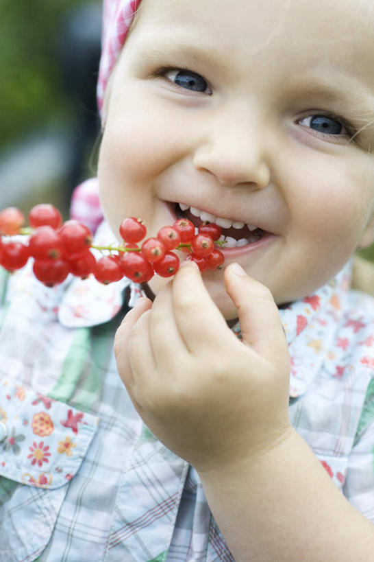 西方人,儿童,一个人,笑,吃,微笑,露齿笑,竖图,室外,特写,白天,正面,纯洁,浆果,水果,欧洲,欧洲人,仅一个女性,仅一个人,握,新鲜,桑葚,桑椹,生食,果实,拿,拿着,小孩,覆盆子,张嘴,仅一个小孩,可爱,童年,童趣,握着,有机食品,绿色食品,张大嘴巴,童真,烂漫,无邪,天真,女孩,女人,女性,白种人,孩子,张开嘴,嚼,食,半身,彩图,女生
