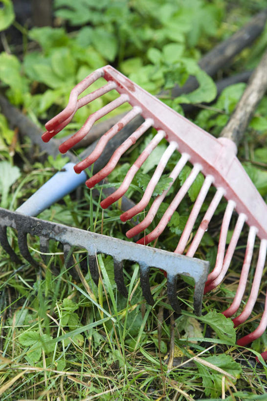 无人,竖图,俯视,室外,特写,白天,草地,草坪,植物,阴影,光线,影子,园艺,草,两个,红色,绿色,阳光,自然,耙子,器具,彩图,高角度拍摄