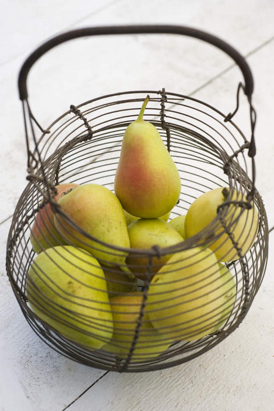 无人,竖图,俯视,室内,白天,白色背景,餐桌,桌子,梨,水果,一堆,许多,堆叠,堆积,新鲜,篮子,生食,食品,果实,食物,一个,黄色,容器,铁丝,香梨,摄影,有机食品,绿色食品,影棚,单个,餐台,堆,生梨,彩图,高角度拍摄,影棚拍摄,拍摄