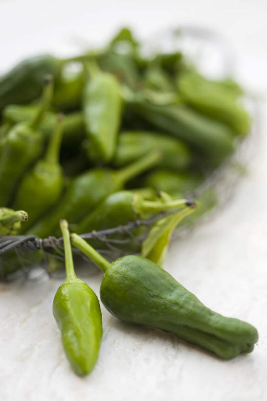 无人,竖图,俯视,室内,白天,白色背景,餐桌,桌子,一堆,许多,堆叠,堆积,篮子,青椒,一个,铁丝,摄影,影棚,单个,餐台,堆,大椒,菜椒,甜椒,柿子椒,灯笼椒,彩图,高角度拍摄,影棚拍摄,拍摄