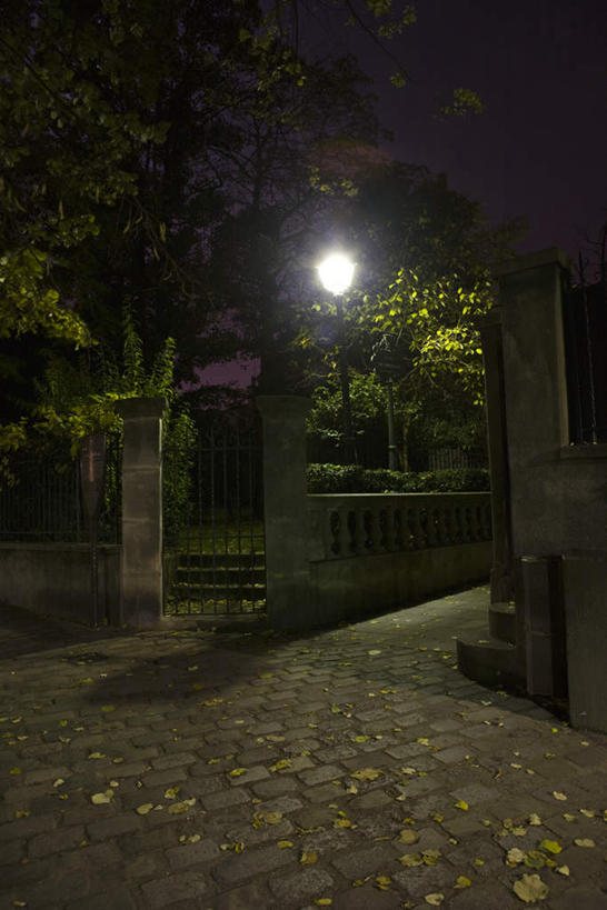 无人,栏杆,竖图,室外,夜晚,正面,旅游,度假,名胜古迹,植物,门,标志建筑,道路,地标,建筑,街道,路,路灯,公路,照明,法国,巴黎,欧洲,遗迹,栅栏,篱笆,围栏,灯光,交通,古迹,文物,娱乐,建设,古建筑,护栏,灯,树,树木,一个,绿色,自然,门框,享受,休闲,旅游胜地,放松,生长,单个,成长,照亮,照明设备,古文明,法兰西共和国,蒙马特,法兰西第五共和国,蒙马特区,马路,彩图