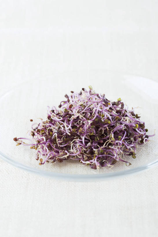 无人,竖图,俯视,室内,特写,白天,白色背景,餐桌,桌子,蔬菜,餐具,一堆,许多,阴影,堆积,新鲜,反射,碟子,盘,影子,食品,食物,紫色,盘子,碟,摄影,有机食品,绿色食品,影棚,餐台,堆,萝卜缨,彩图,高角度拍摄,影棚拍摄,拍摄,莱菔叶,萝卜叶