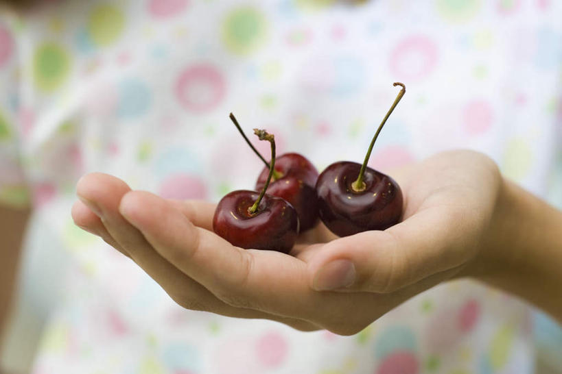 西方人,儿童,手,一个人,客厅,横图,室内,特写,白天,正面,纯洁,樱桃,水果,欧洲,欧洲人,仅一个女性,仅一个人,握,新鲜,生食,食品,果实,拿,拿着,食物,三个,小孩,仅一个小孩,手部,可爱,童年,童趣,握着,有机食品,绿色食品,起居室,童真,烂漫,无邪,天真,女孩,女人,女性,白种人,孩子,樱珠,莺桃,英桃,楔桃,牛桃,荆桃,半身,彩图,女生