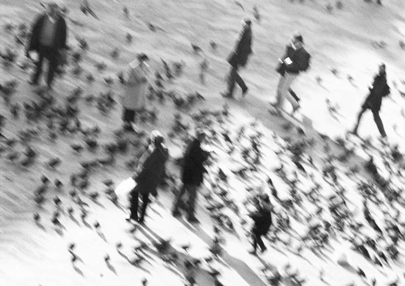 西方人,站,走,横图,俯视,黑白,室外,白天,野生动物,欧洲,欧洲人,许多,朦胧,模糊,格子,许多人,动物,站着,一群人,男人,男性,年轻男性,年轻女性,女人,女性,白种人,步行,散步,站立,走路,高角度拍摄,全身