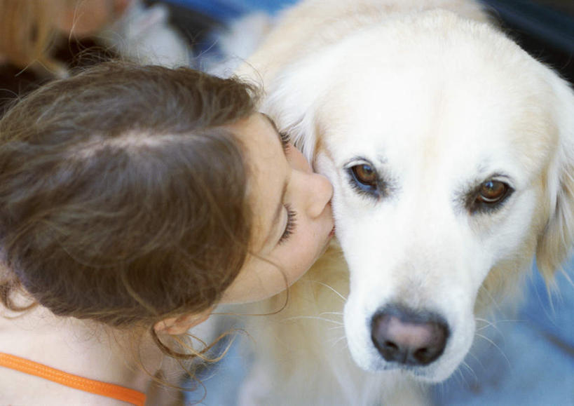 西方人,儿童,一个人,站,吻,横图,俯视,室内,白天,纯洁,宠物,狗,欧洲,欧洲人,仅一个女性,仅一个人,一条,朦胧,模糊,拉布拉多,拉布拉多猎犬,小孩,白色,动物,站着,仅一个小孩,可爱,童年,童趣,拉布拉多犬,童真,烂漫,无邪,忠诚,天真,女孩,女人,女性,白种人,孩子,犬,亲,亲吻,站立,半身,彩图,高角度拍摄,女生