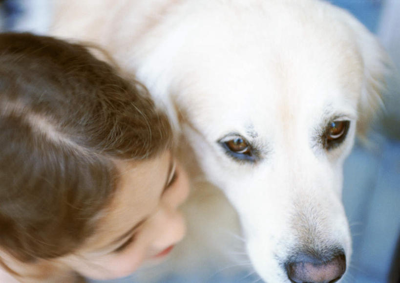 西方人,儿童,一个人,站,笑,微笑,露齿笑,横图,俯视,室内,白天,纯洁,宠物,狗,欧洲,欧洲人,仅一个女性,仅一个人,一条,朦胧,模糊,拉布拉多,拉布拉多猎犬,小孩,白色,动物,站着,仅一个小孩,可爱,童年,童趣,拉布拉多犬,童真,烂漫,无邪,忠诚,天真,女孩,女人,女性,白种人,孩子,犬,站立,半身,彩图,高角度拍摄,女生