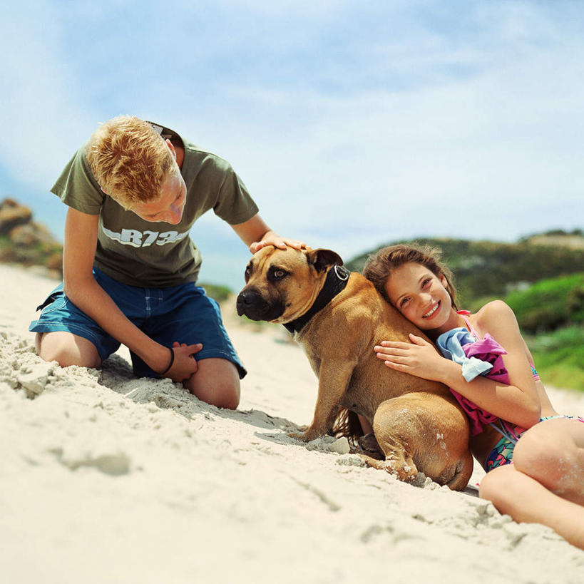 西方人,两个人,坐,跪,摸,方图,室外,白天,正面,爱情,草地,草坪,植物,宠物,狗,欧洲,欧洲人,一条,抚摸,云,云朵,浪漫,云彩,草,蓝色,绿色,白云,蓝天,天空,动物,天,温暖,温馨,恩爱,可爱,恋人,和睦,忠诚,男人,男性,年轻男性,年轻女性,女人,女性,白种人,情侣,犬,触摸,跪着,接触,坐着,半身,彩图,伴侣,融洽