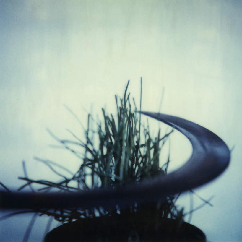 无人,方图,室内,特写,白天,白色背景,正面,农业,草地,草坪,植物,静物,金属制品,一把,朦胧,模糊,金属,工具,草,绿色,摄影,影棚,镰刀,农具,彩图,影棚拍摄,拍摄