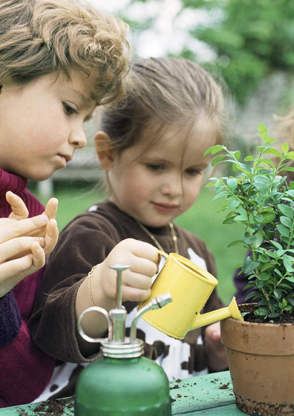 西方人,儿童,头发,两个人,伙伴,朋友,站,举,笑,微笑,露齿笑,竖图,室外,白天,正面,毛衣,友谊,纯洁,水,植物,欧洲,欧洲人,倒,握,阴影,朦胧,模糊,光线,盆栽,液体,影子,水滴,盆景,拿,拿着,注视,树,树木,一个,小孩,黄色,绿色,灰色,阳光,自然,低头,观察,看,托,站着,可爱,童年,童趣,握着,生长,单个,成长,观看,察看,关注,童真,烂漫,无邪,天真,友情,男孩,男人,男性,女孩,女人,女性,白种人,举起,举手,举着,向上举,向上伸,向上托,站立,半身,彩图,绒衣,套衫,套头毛衣,线衣,男生,女生