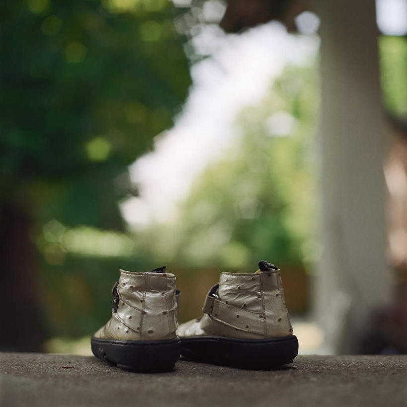 无人,方图,俯视,室内,特写,白天,运动鞋,植物,鞋子,一双,阴影,朦胧,模糊,光线,影子,地面,树,树木,蓝色,绿色,蓝天,天空,阳光,自然,天,生长,成长,彩图,高角度拍摄