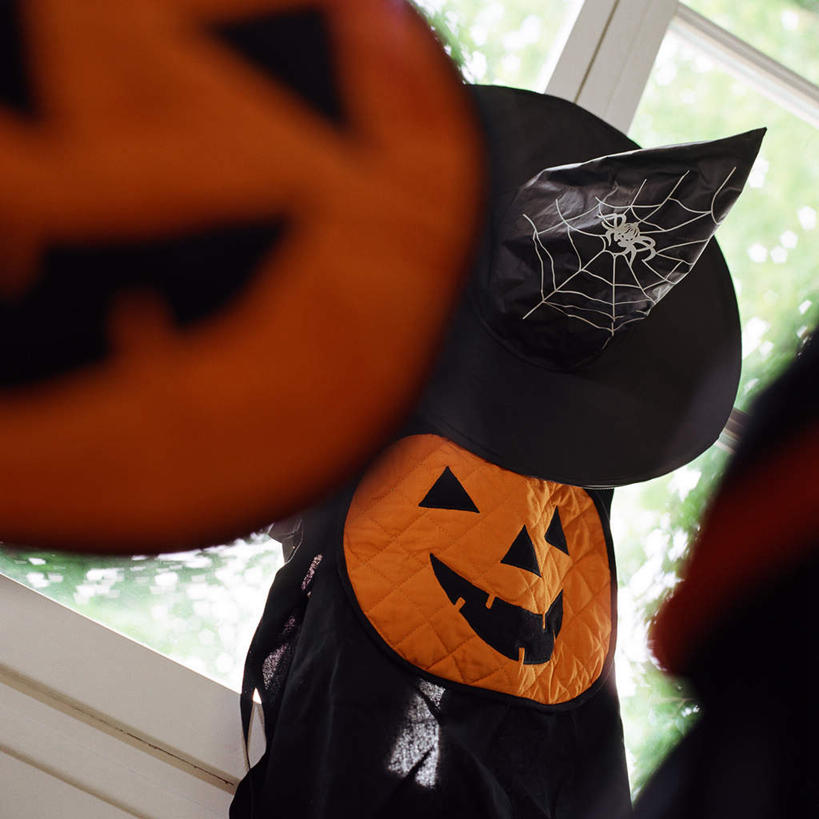 脸,头,脸颊,无人,方图,室内,特写,白天,仰视,植物,窗户,南瓜,蔬菜,帽子,照明,许多,悬挂,阴影,节日,朦胧,模糊,庆祝,新鲜,装饰,光线,挂饰,面具,影子,墙,灯光,金瓜,食品,文化,镂空,番瓜,玻璃窗,墙壁,墙面,灯,树,树木,食物,黄色,绿色,阳光,自然,灯具,庆典,南瓜灯,万圣节,有机食品,绿色食品,生长,成长,纪念,华丽,修饰,麦瓜,倭瓜,照亮,点缀,笑脸,照明设备,衬托,美观,雅致,雅观,镂刻,头部,脸部,脸蛋,面部,彩图,低角度拍摄