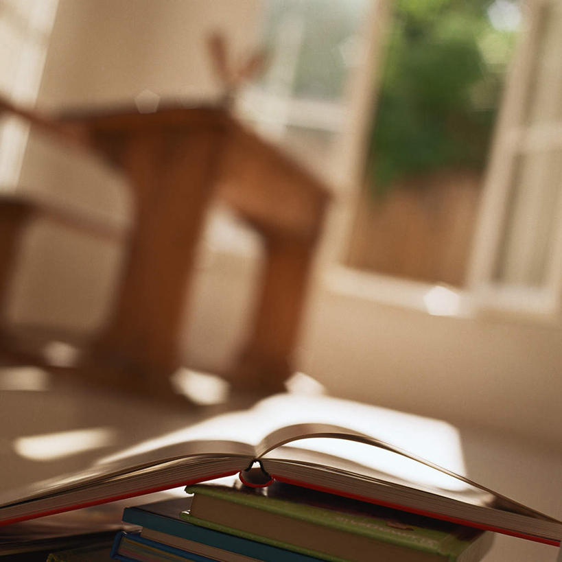 无人,方图,室内,白天,正面,植物,窗户,桌子,书籍,椅子,一把,一堆,许多,阴影,堆叠,堆积,朦胧,模糊,光线,瓷砖,地砖,影子,木椅,墙,地面,书桌,玻璃窗,墙壁,墙面,树,树木,绿色,阳光,自然,课桌,书本,打开,生长,成长,堆,开启,书,图书,彩图