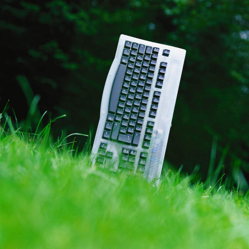 无人,方图,室外,特写,白天,正面,键盘,草地,草坪,树林,植物,静物,朦胧,模糊,输入设备,通讯设备,草,树,树木,一个,绿色,自然,生长,单个,成长,通信设备,彩图