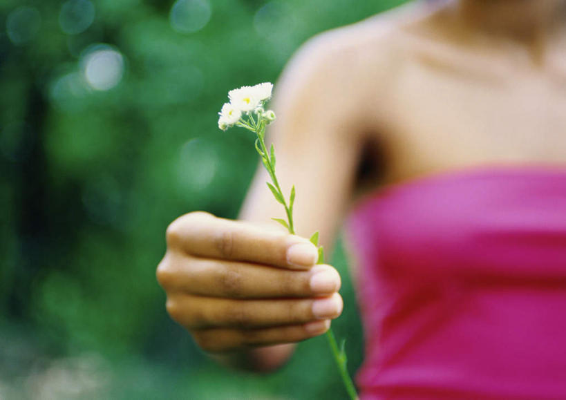 西方人,手,一个人,站,举,横图,室外,特写,白天,正面,旅游,度假,草地,草坪,植物,欧洲,欧洲人,仅一个年轻女性,仅一个女性,仅一个人,握,阴影,朦胧,模糊,盛开,光线,影子,拿,花蕾,拿着,休闲装,娱乐,草,花,花瓣,花朵,鲜花,树,树木,一朵,粉色,绿色,白色,阳光,自然,花苞,花蕊,托,站着,享受,休闲,手部,休闲服,放松,握着,生长,成长,年轻女性,女人,女性,白种人,举起,举手,举着,向上举,向上伸,向上托,站立,半身,彩图