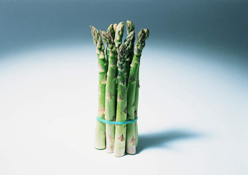 无人,横图,俯视,室内,特写,白天,白色背景,桌面,芦笋,蔬菜,许多,阴影,新鲜,反射,纹路,纹理,影子,食品,食物,蓝色,绿色,摄影,有机食品,绿色食品,影棚,捆绑,猪尾巴,药鸡豆子,石刁柏,蚂蚁杆,龙须菜,狼尾巴根,彩图,高角度拍摄,影棚拍摄,拍摄,橡皮筋