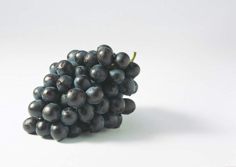 无人,横图,俯视,室内,特写,白天,白色背景,餐桌,桌子,葡萄,水果,一串,一堆,许多,阴影,堆叠,堆积,新鲜,反射,影子,生食,食品,果实,食物,紫色,摄影,有机食品,绿色食品,影棚,餐台,堆,山葫芦,蒲桃,草龙珠,彩图,高角度拍摄,影棚拍摄,拍摄