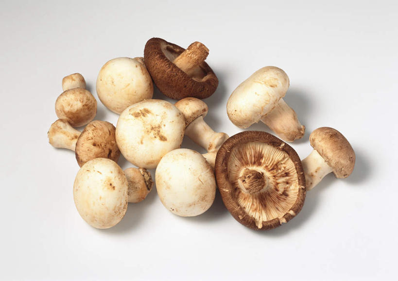 无人,横图,俯视,室内,特写,白天,白色背景,餐桌,桌子,蔬菜,许多,新鲜,菌菇,蘑菇,香菇,食品,菌类,食物,白色,食用菌,摄影,有机食品,绿色食品,影棚,餐台,白蘑菇,洋蘑菇,草腐菌,二孢蘑菇,双孢蘑菇,彩图,高角度拍摄,影棚拍摄,拍摄