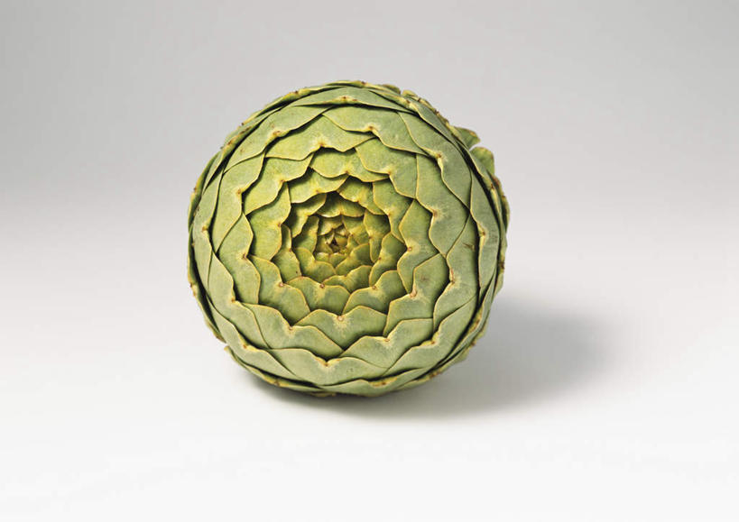 无人,横图,俯视,室内,特写,白天,白色背景,植物,餐桌,桌子,蔬菜,新鲜,食品,草药,药草,中药,食物,一个,绿色,蓟,摄影,有机食品,绿色食品,影棚,单个,餐台,药材,中草药,中药材,本草,大蓟,刺蓟,山萝卜,彩图,高角度拍摄,影棚拍摄,拍摄