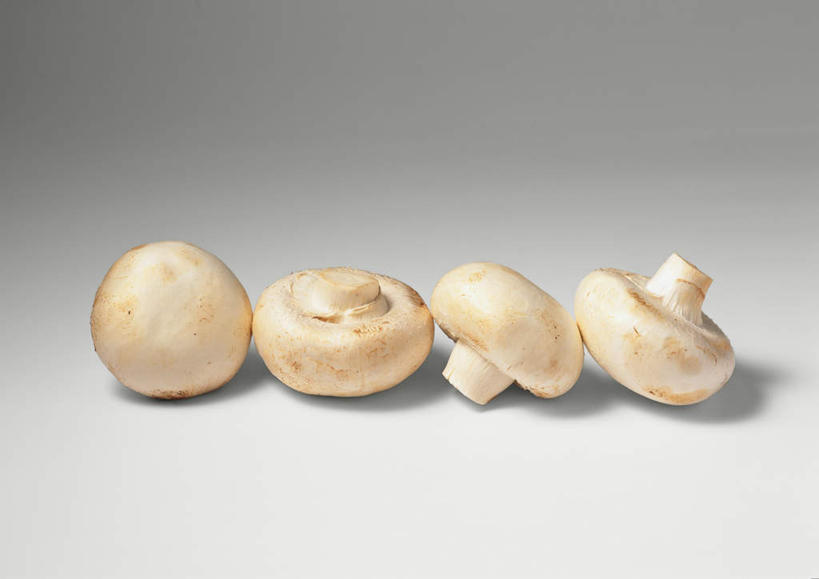 无人,横图,俯视,室内,特写,白天,白色背景,餐桌,桌子,蔬菜,一排,新鲜,整齐,菌菇,蘑菇,食品,菌类,食物,排列,白色,四个,食用菌,摄影,有机食品,绿色食品,影棚,餐台,队列,白蘑菇,洋蘑菇,草腐菌,二孢蘑菇,双孢蘑菇,彩图,高角度拍摄,影棚拍摄,拍摄