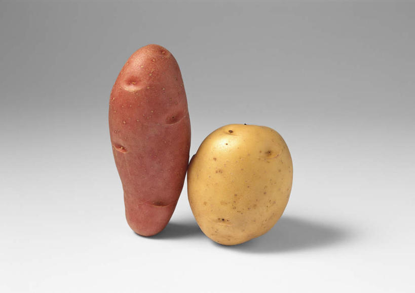 无人,横图,俯视,室内,特写,白天,白色背景,餐桌,桌子,蔬菜,土豆,阴影,新鲜,反射,影子,食品,食物,两个,黄色,红色,摄影,有机食品,绿色食品,影棚,餐台,馍馍蛋,洋芋,山药蛋,马铃薯,彩图,高角度拍摄,影棚拍摄,拍摄