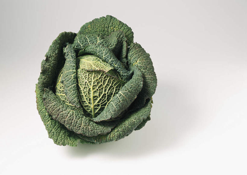 无人,横图,俯视,室内,特写,白天,白色背景,餐桌,桌子,蔬菜,椰菜,卷心菜,叶子,新鲜,食品,绿叶,食物,一个,嫩叶,摄影,有机食品,绿色食品,影棚,单个,餐台,叶,叶片,结球甘蓝,甘兰,包心菜,彩图,高角度拍摄,影棚拍摄,拍摄