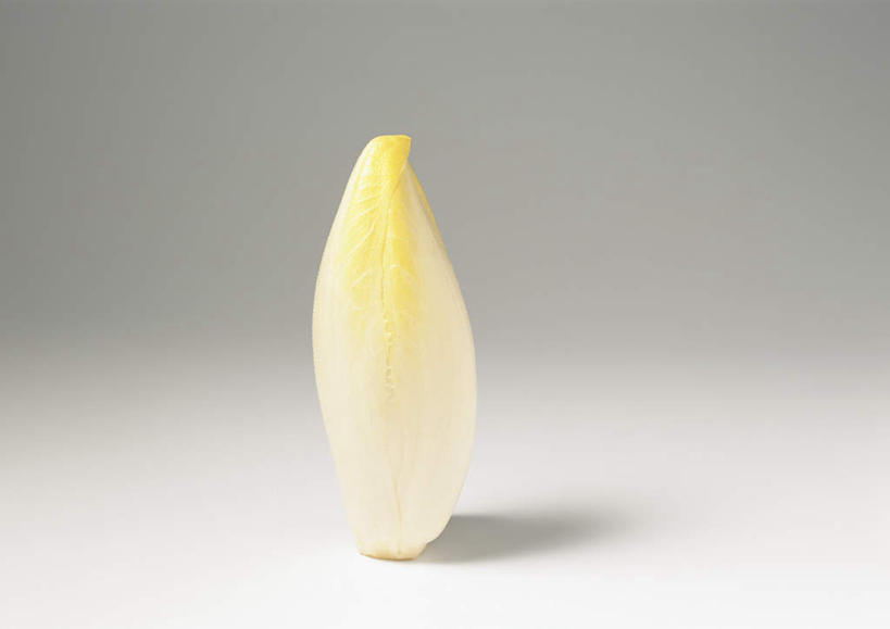 无人,横图,俯视,室内,特写,白天,白色背景,餐桌,桌子,蔬菜,新鲜,菊苣,食品,药草,食物,一个,摄影,有机食品,绿色食品,影棚,单个,餐台,药材,彩图,高角度拍摄,影棚拍摄,拍摄