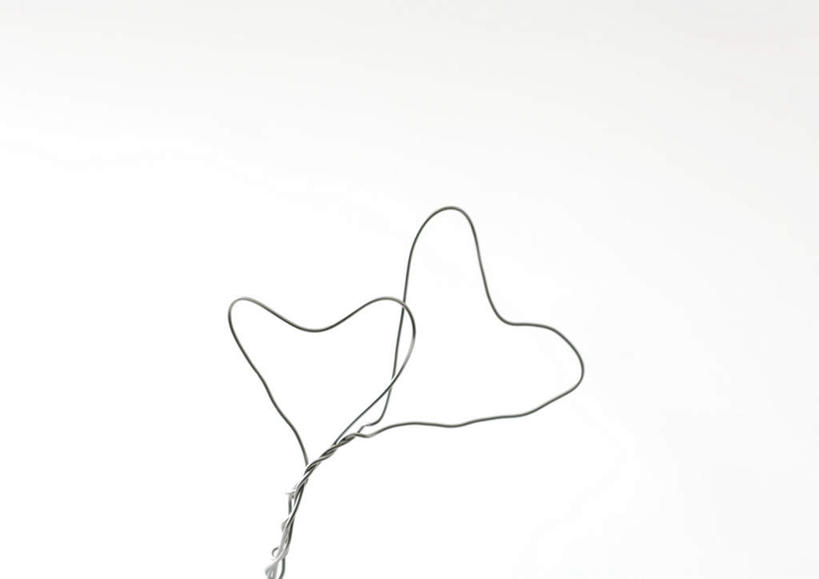 无人,横图,室内,特写,白天,白色背景,正面,爱情,静物,金属制品,圣诞节,节日,爱心,庆祝,缠绕,金属,浪漫,文化,两个,庆典,温暖,温馨,心形,恩爱,摄影,影棚,纪念,和睦,金属丝,心型,彩图,影棚拍摄,拍摄,融洽