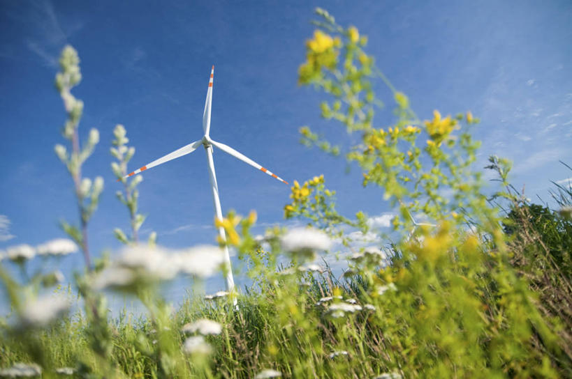 无人,横图,室外,白天,仰视,旅游,度假,农业,风能,风力发电机,草地,草坪,美景,植物,风车,阴影,环保,朦胧,模糊,盛开,电力,光线,影子,景观,云,云朵,花蕾,云彩,娱乐,设备,草,花,花瓣,花朵,鲜花,黄色,蓝色,绿色,白云,蓝天,天空,阳光,自然,天,花苞,花蕊,享受,休闲,发电,机械,景色,放松,工业,能源,晴朗,资源,风力机,自然风光,利用,低碳,风力发电,风力涡轮机,晴空,彩图,低角度拍摄