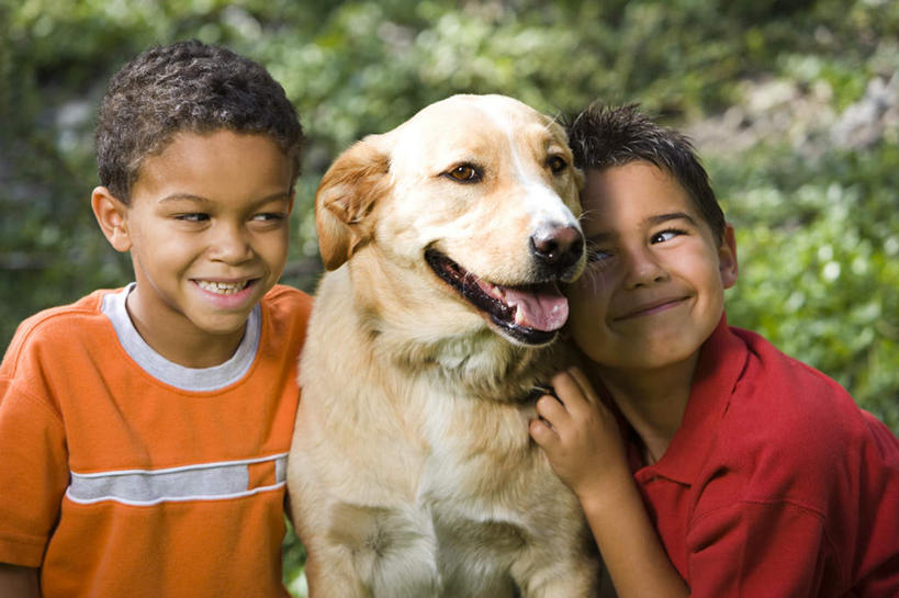 西方人,儿童,两个人,家庭,坐,笑,微笑,露齿笑,横图,室外,白天,正面,纯洁,植物,宠物,狗,欧洲,非洲,黑人,欧洲人,阴影,服装,朦胧,模糊,光线,影子,注视,休闲装,金毛犬,树,树木,一只,小孩,衣服,红色,绿色,阳光,自然,动物,观察,看,靠,靠着,倚靠,休闲,温暖,温馨,一家人,休闲服,橙色,可爱,童年,童趣,服饰,金毛,生长,成长,观看,和睦,察看,金毛猎犬,倚着,关注,寻回犬,童真,烂漫,无邪,金毛寻回犬,忠诚,金毛狗,金毛寻回狗,寻回狗,天真,男孩,男人,男性,非洲人,犬,坐着,半身,彩图,融洽,男生