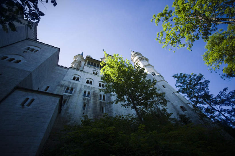 无人,家,高楼大厦,横图,室外,白天,仰视,度假,美景,植物,别墅,窗户,城市风光,城市,大厦,建筑,摩天大楼,阴影,光线,影子,房屋,墙,屋子,景观,公寓,娱乐,洋房,楼房,玻璃窗,墙壁,墙面,住宅,树,树木,蓝色,绿色,蓝天,天空,阳光,自然,楼宇,天,享受,休闲,景色,放松,生长,晴朗,成长,万里无云,晴空,晴空万里,彩图,低角度拍摄,房子,大楼,高层建筑,高楼,摩天楼