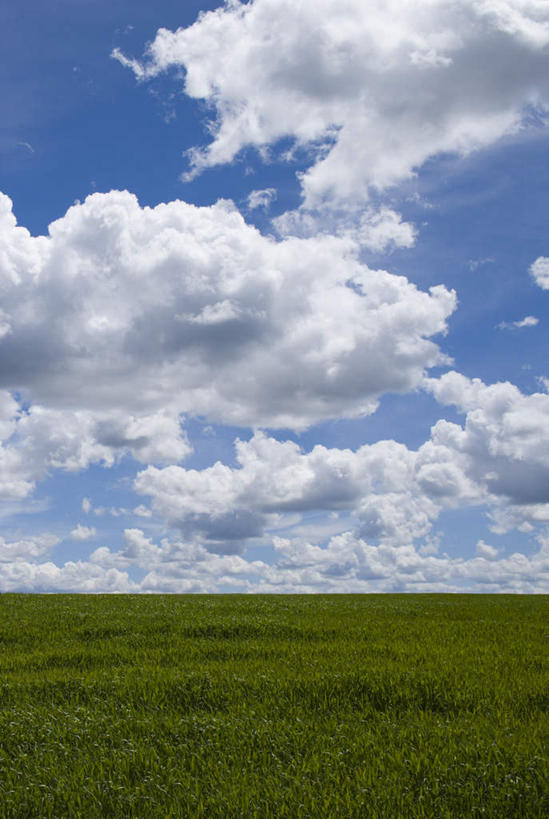 无人,农田,竖图,室外,白天,正面,庄稼,农作物,草地,草原,美景,植物,阴影,光线,影子,地平线,景观,旷野,云,云朵,辽阔,地面,云彩,草,蓝色,绿色,白云,蓝天,天空,阳光,自然,天,广阔,景色,晴朗,一望无际,自然风光,原野,延伸,天地相交,无边无际,一马平川,晴空,彩图,耕地,庄稼田