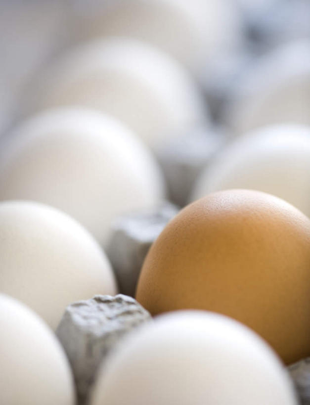 无人,竖图,俯视,室内,特写,白天,白色背景,桌面,桌子,一排,阴影,环保,朦胧,模糊,整齐,并列,并排,反射,木制,蛋格,影子,蛋,鸡蛋,排列,一个,黄色,白色,木制品,摄影,影棚,能源,单个,回收,资源,队列,平行,利用,低碳,循环,蛋托,蛋盒,卵,持续,彩图,高角度拍摄,影棚拍摄,拍摄