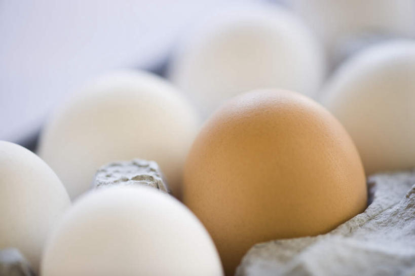 无人,横图,俯视,室内,特写,白天,白色背景,桌面,桌子,一排,阴影,环保,朦胧,模糊,整齐,并列,并排,反射,木制,蛋格,影子,蛋,鸡蛋,排列,一个,黄色,白色,木制品,摄影,影棚,能源,单个,回收,资源,队列,平行,利用,低碳,循环,蛋托,蛋盒,卵,持续,彩图,高角度拍摄,影棚拍摄,拍摄