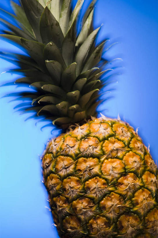 无人,竖图,室内,特写,白天,正面,植物,菠萝,水果,叶子,蓝色背景,新鲜,纹理,生食,食品,果实,绿叶,食物,一个,黄色,绿色,嫩叶,摄影,有机食品,绿色食品,影棚,单个,肌理,叶,叶片,叶脉,凤梨,彩图,影棚拍摄,拍摄