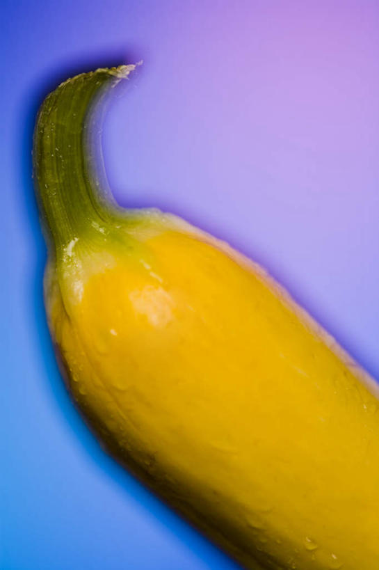 无人,竖图,室内,特写,白天,正面,南瓜,蔬菜,蓝色背景,新鲜,金瓜,食品,番瓜,食物,一个,黄色,摄影,有机食品,绿色食品,影棚,单个,麦瓜,倭瓜,彩图,影棚拍摄,拍摄