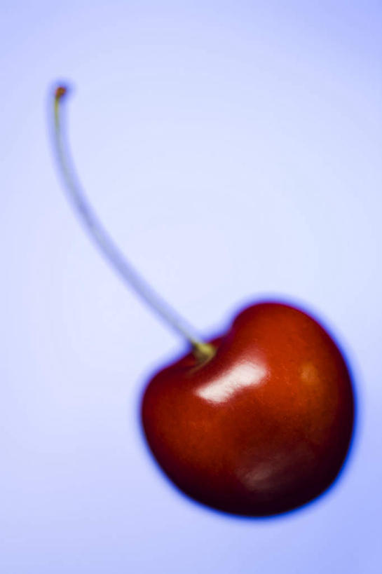 无人,竖图,室内,特写,白天,正面,樱桃,水果,紫色背景,新鲜,生食,食品,果实,食物,一个,红色,摄影,有机食品,绿色食品,影棚,单个,樱珠,莺桃,英桃,楔桃,牛桃,荆桃,彩图,影棚拍摄,拍摄
