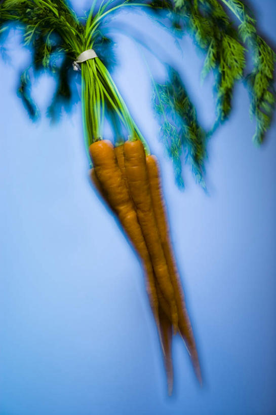 无人,竖图,俯视,室内,特写,白天,萝卜,胡萝卜,蔬菜,叶子,阴影,蓝色背景,新鲜,反射,影子,食品,绿叶,食物,三个,橙色,嫩叶,摄影,有机食品,绿色食品,影棚,叶,叶片,红萝卜,甘荀,彩图,高角度拍摄,影棚拍摄,拍摄
