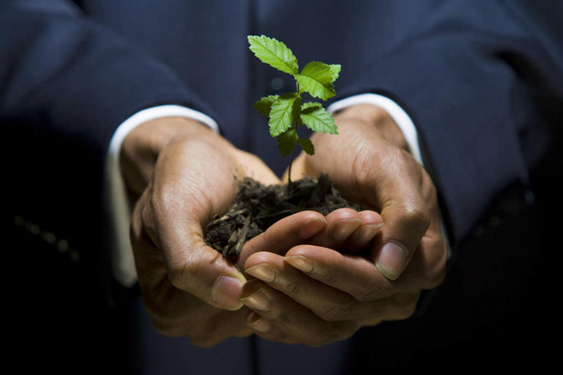 西方人,手,一个人,商务人士,商务男性,捧,横图,室内,特写,白天,正面,衬衫,叶子,欧洲,非洲,黑人,欧洲人,双手,仅一个男性,仅一个人,黑色背景,套装,泥土,土壤,绿叶,仅一个年轻男性,绿色,手部,嫩叶,摄影,影棚,商务装,工薪阶层,秧苗,男人,男性,年轻男性,非洲人,白领,上班族,叶,叶片,端,端着,捧着,手捧,半身,彩图,影棚拍摄,衬衣,拍摄