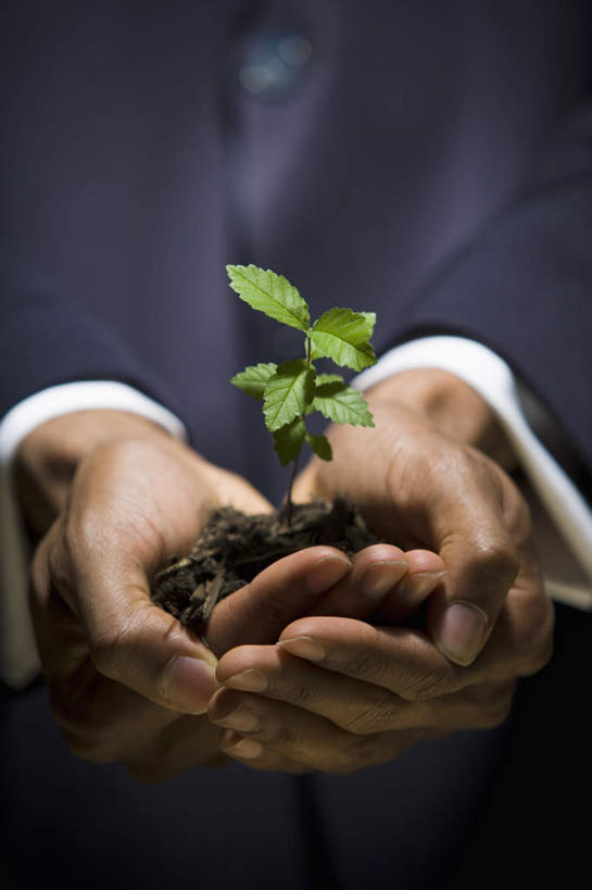 西方人,手,一个人,商务人士,商务男性,捧,竖图,室内,特写,白天,正面,衬衫,叶子,欧洲,非洲,黑人,欧洲人,双手,仅一个男性,仅一个人,黑色背景,套装,泥土,土壤,绿叶,仅一个年轻男性,绿色,手部,嫩叶,摄影,影棚,商务装,工薪阶层,秧苗,男人,男性,年轻男性,非洲人,白领,上班族,叶,叶片,端,端着,捧着,手捧,半身,彩图,影棚拍摄,衬衣,拍摄