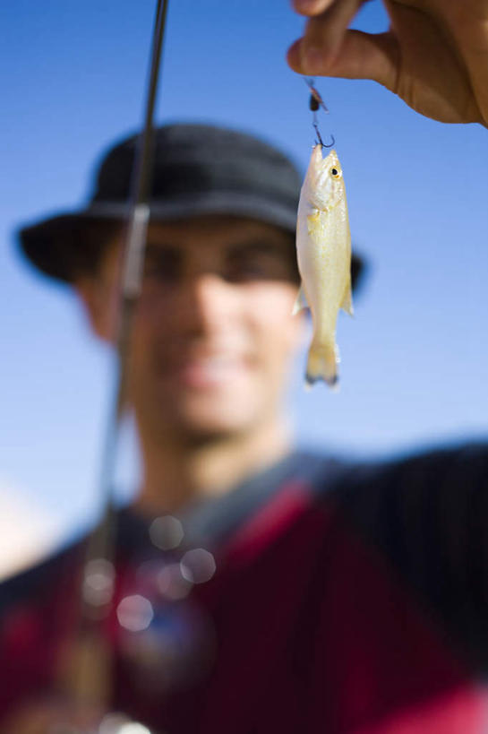 西方人,脸,头,脸颊,手,一个人,站,举,笑,微笑,露齿笑,竖图,室外,特写,白天,仰视,石头,山,山脉,帽子,钓鱼竿,欧洲,欧洲人,仅一个男性,仅一个人,一条,握,阴影,服装,朦胧,模糊,光线,鱼,石子,影子,山峰,山峦,拿,拿着,注视,休闲装,鱼类,肩膀,仅一个年轻男性,衣服,蓝色,蓝天,天空,阳光,遮阳帽,群山,天,观察,看,托,站着,休闲,手部,休闲服,握着,服饰,晴朗,观看,单手,渔具,察看,关注,沉积岩,万里无云,水成岩,男人,男性,年轻男性,白种人,头部,脸部,脸蛋,面部,钓竿,鱼竿,石块,岩石,晴空,晴空万里,举起,举手,举着,向上举,向上伸,向上托,站立,半身,彩图,低角度拍摄,钓鱼