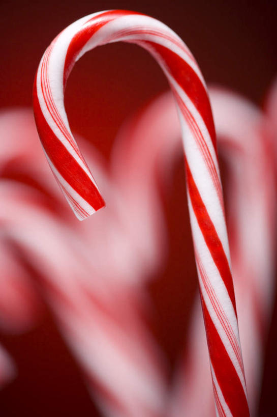 无人,竖图,室内,特写,白天,正面,许多,阴影,红色背景,朦胧,模糊,反射,影子,食品,糖,糖果,甜点,甜品,食物,红色,白色,甜食,摄影,影棚,硬糖,拐杖糖,彩图,影棚拍摄,拍摄