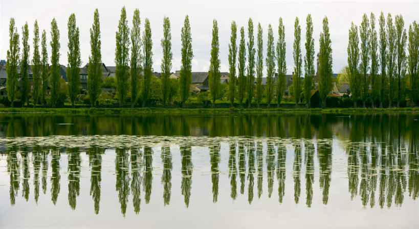 无人,横图,室外,白天,正面,旅游,度假,草地,草坪,河流,美景,水,植物,一排,许多,阴影,波纹,整齐,光线,影子,河水,景观,水流,涟漪,娱乐,草,树,树木,排列,蓝色,绿色,倒影,蓝天,水纹,天空,阳光,自然,波浪,天,享受,休闲,景色,放松,生长,晴朗,成长,倒映,队列,自然风光,万里无云,水晕,反照,晴空,晴空万里,彩图