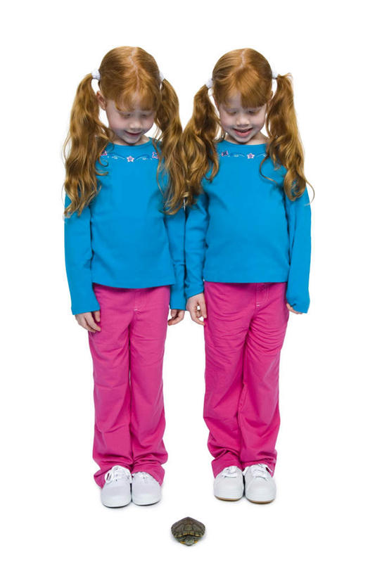 西方人,儿童,两个人,家庭,站,竖图,室内,白天,白色背景,正面,纯洁,龟,欧洲,欧洲人,服装,爬行动物,注视,休闲装,一只,小孩,衣服,红色,蓝色,动物,低头,观察,看,站着,休闲,健康,温暖,温馨,一家人,休闲服,可爱,童年,童趣,摄影,服饰,影棚,观看,和睦,察看,关注,坚定,童真,烂漫,无邪,长寿,乌龟,垂头,天真,女孩,女人,女性,白种人,站立,彩图,全身,影棚拍摄,拍摄,融洽,女生