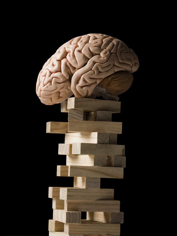 无人,竖图,室内,特写,白天,正面,游戏,智慧,玩具,大脑,一堆,许多,堆叠,堆积,黑色背景,玩,娱乐,休闲,积木,益智,摄影,影棚,活动,堆,思维,器官,发泄,消遣,智力,沟壑,想象,小脑,脑干,抽积木,宣泄,大脑皮层,端脑,沟,灰质,回,间脑,玩耍,嬉戏,彩图,影棚拍摄,拍摄